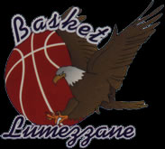 Basket Lumezzane
